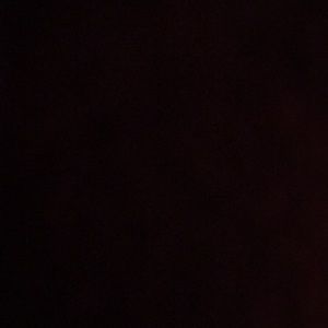 Meet your Posher, Thalia